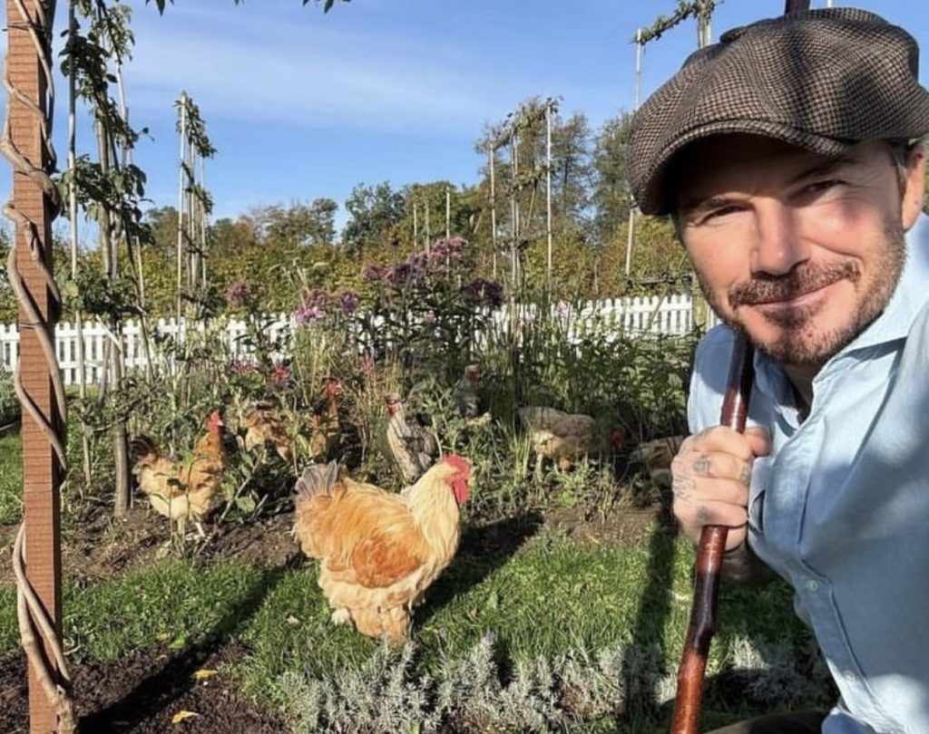 Beckham dedicado al campo